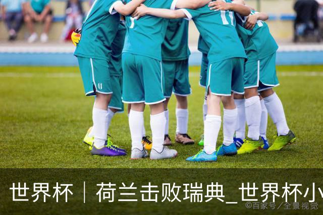 世界杯｜荷兰击败瑞典 世界杯小组赛连续18场不败
